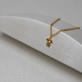 PULSEIRA FILHA
